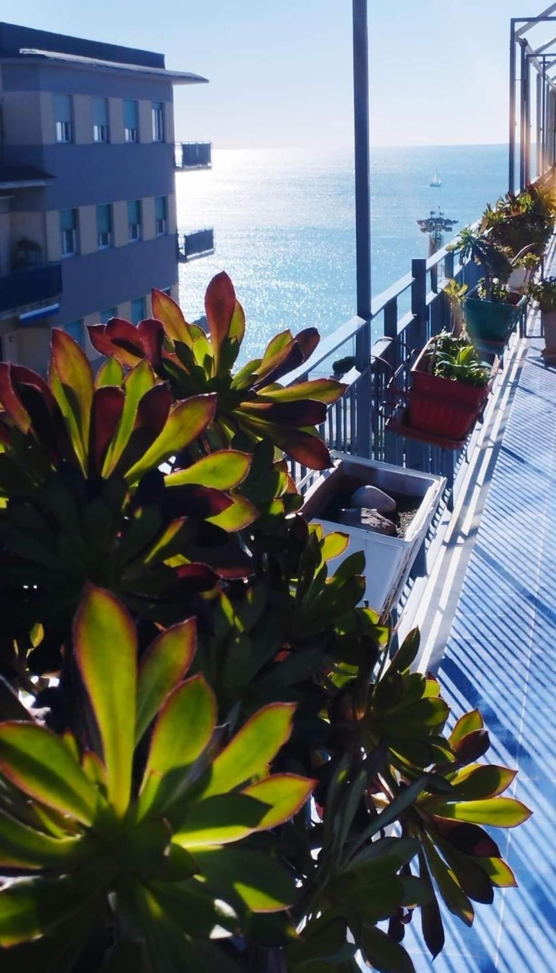 Alta Quota Relax On The Sea Bed & Breakfast Salerno Dış mekan fotoğraf